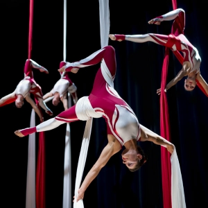 Aerial Performers